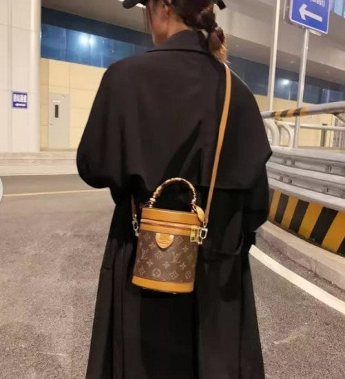 Louis Vuitton LV Cannes Handbag Premium Edition (Bag)