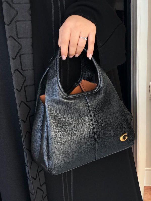 Coach lana hand bag premium quality with box