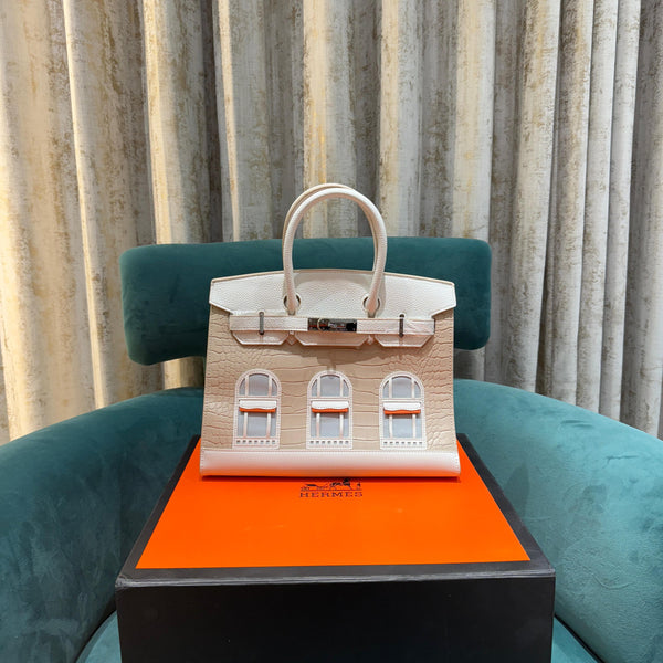 Hermes Birkin 20 Sellier Limited Edition With Dust Bag With OG Box (972 White)
