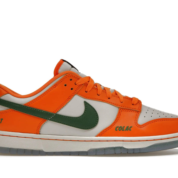 Nike Dunk Low FAMU x Florida AM Shoes