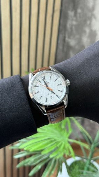 Omega Seamaster – Watch (Premium)