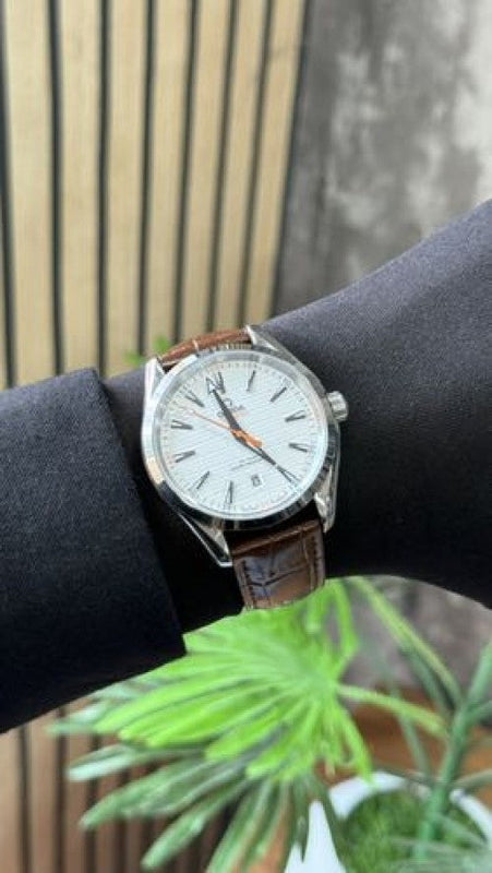 Omega Seamaster – Watch (Premium)