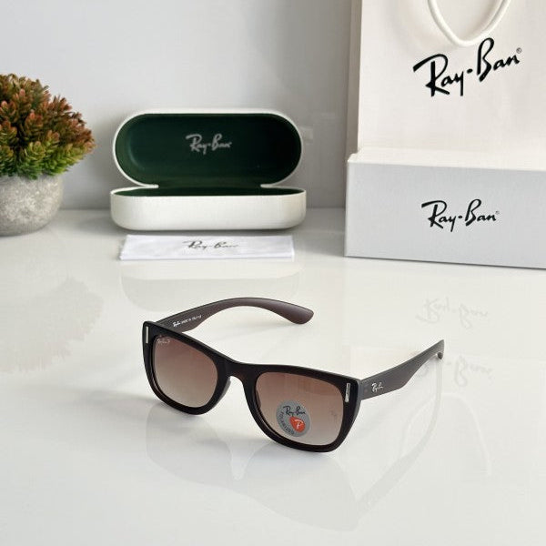 Rayban 2248 Brown Sunglasses