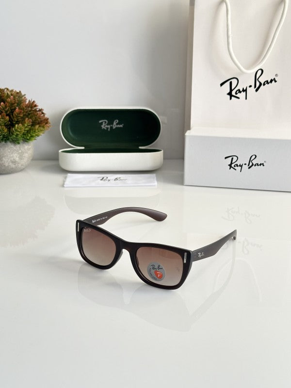 Rayban 2248 Brown Sunglasses