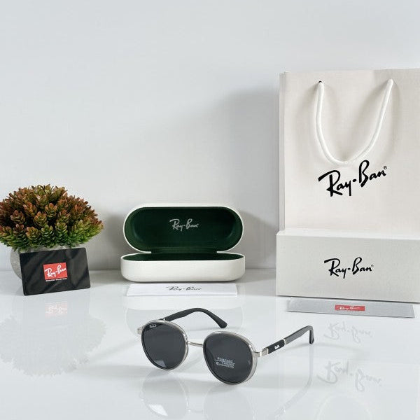 Rayban 24002 Grey Sunglasses